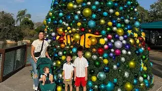 Thanksgiving Break 2025 - Road Trip to Florida (Orlando & Sarasota)