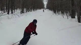 Old lift line - Bristol Mt