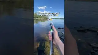 Insane rod design 😮&zwj;💨🎣 #fishingequipment #fishinggear