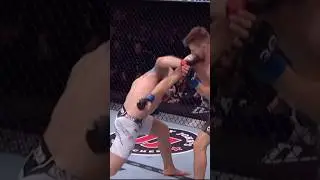 Best UFC & MMA close to dead Knockouts 🫵LIKE IT🫵 #ufc #mma #knockout #viral #mexico #usa #india
