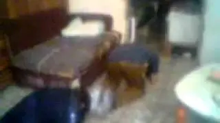 Video0319