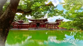 Walking in Uji, Kyoto - The Japan I Always Imagined [4K]
