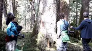 Informative shore visit prince william sound Discovery Voyages
