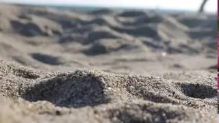 FREE FOOTAGE Beach Sand