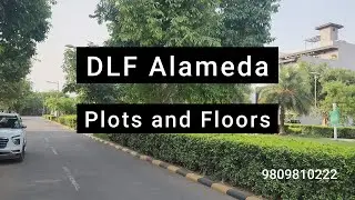 DLF Alameda Sector 73 Gurgaon | Luxury Plots & Floors | #ytshorts #shorts