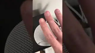 Обзор Echo Dot Max