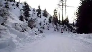 Alpine Sledding (Take #2)