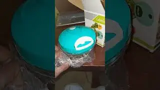 Best Vegetable Chopper In India | Thread Pull Vegetable Chopper vs Push Vegetable Cutter Review
