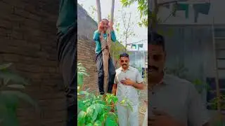 अचानक हंसने लगे 😅 #youtubeshorts #shortsfeed #funny #trending #shortsfeed #youtubeshorts #youtuber