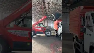 Loading wheat into the lawn