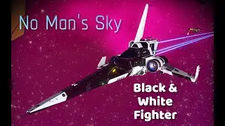 No Man's Sky Cool Black & White Fighter