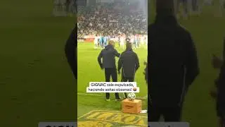 🔴 GIGNAC sale expulsado haciendo se&ntilde;as malas!! #viral #football #tigres #gignac #ligamx