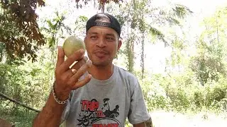 TRIP NAMIN sa BUKID / FRESH FROM THE FARM _ LIBRE LANG LAHAT _ MAPATAG HAMTIC ANTIQUE