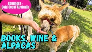 Canungra&rsquo;s Hidden Gems: Books, Alpacas & Vineyard Vibes. Gold Coast Australia