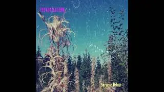 Teflonaleandr - Sir Blossom (Official)