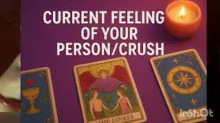 CURRENT FEELING OF YOUR PERSON/ CRUSH 