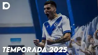 Erik Surace - Resumen 2025
