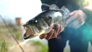 Catching Bass at a Hidden Spillway