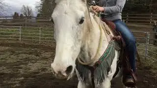 Riding Bridleless for the first time in two years