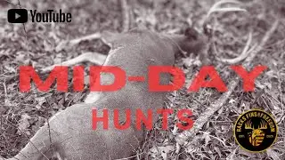 POST RUT HUNTING (Stay In The Woods) - This Is Why! - 