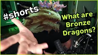 What is a Bronze Dragon in D&D?
