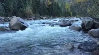 Overnighter on the Vallecito Creek Trail