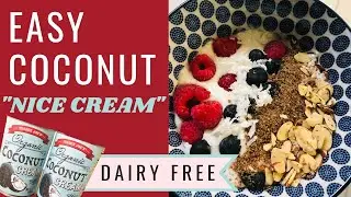 Coconut  Ice Cream - Vegan & Gluten Free Dessert