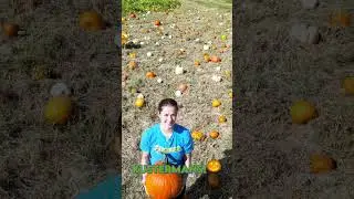 It&rsquo;s #pumpkin Season in #londonontario . Time to pick your favourite 🎃! With +70 varieties.