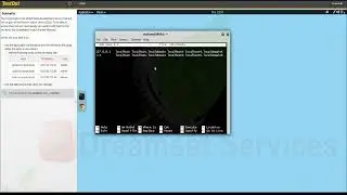 Linux Pro 15.1.7 Используйте sudo TestOut