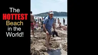 The HOTTEST Beach in the World - Hot Water Beach / The Coromandel / New Zealand #shorts