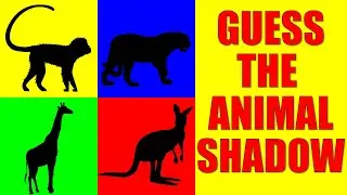 Guess the Zoo Animal from Their Shadow | Quiz Game for Kids, Preschoolers and Kindergarten