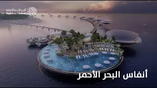 أنفاس البحر الأحمر