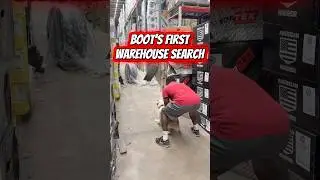 Boot&rsquo;s First Warehouse Search