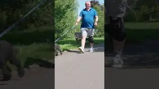 Он не мог выгуливать собаку, не испытывая боли в колене&hellip;