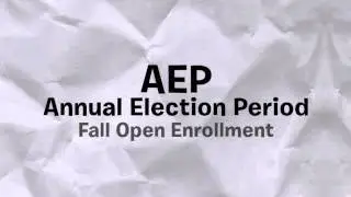 Annual Election Period