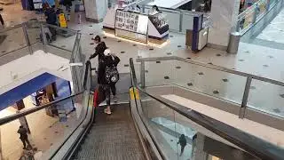 mall  MARINA ( VIÑA  DEL   MAR