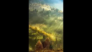 Софія Ротару - Земле моя