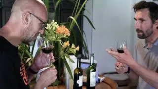 Domaine Les Fouques   montage Aur&eacute;lia Dedieu