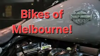Screaming Eagle. Harley Davidson. Lop Lop Lop Idle. #performance #automobile #motorcycle #bike 