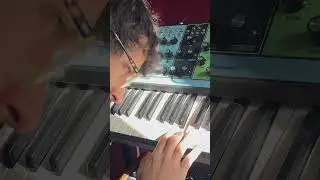 controlled chaos          #drumbreaks #drums #samplebased #drumsamples #music #moogmatriarch #moog