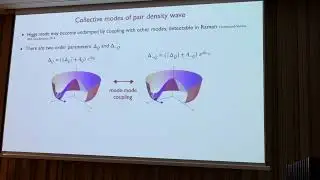 Pair density waves: Higgs modes and vestigial charge-4e superconductors (Yuxuan Wang)