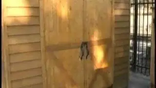 Wooden Garden Shed 8x10 Cedarshed Rancher