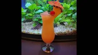 how to make a Rum Punch #islandcocktail #tropicalcocktail #vacationcocktail #beachdrink