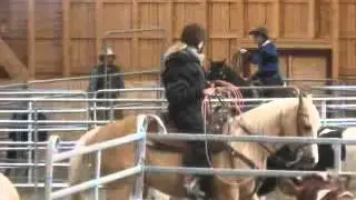 Ed Dabney's Six Keys To Harmony and Cow clinic at Finland