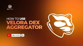How To Use Velora Dex Aggregator