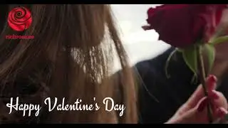 Valentine's Flowers Dubai - Flower Delivery Dubai - Richrose Flowers
