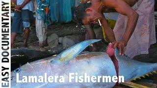 Lamalera Fishermen: Tradition, Modernity, and Environmental Concerns - Documentary Clip