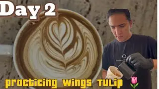 Day 2 Practice Consistently.  Wings Tulip 🌷 Latte Art 