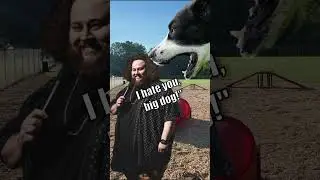 I did standup at a private dog park, and it went about as well as you'd think😂🐶 #shorts #dogs