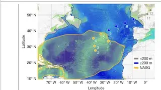 Nanoplastic in the Oceans and inside the Human Brain